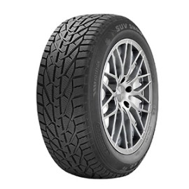 SEBRING SNOW 205/65R16 95H téli gumi